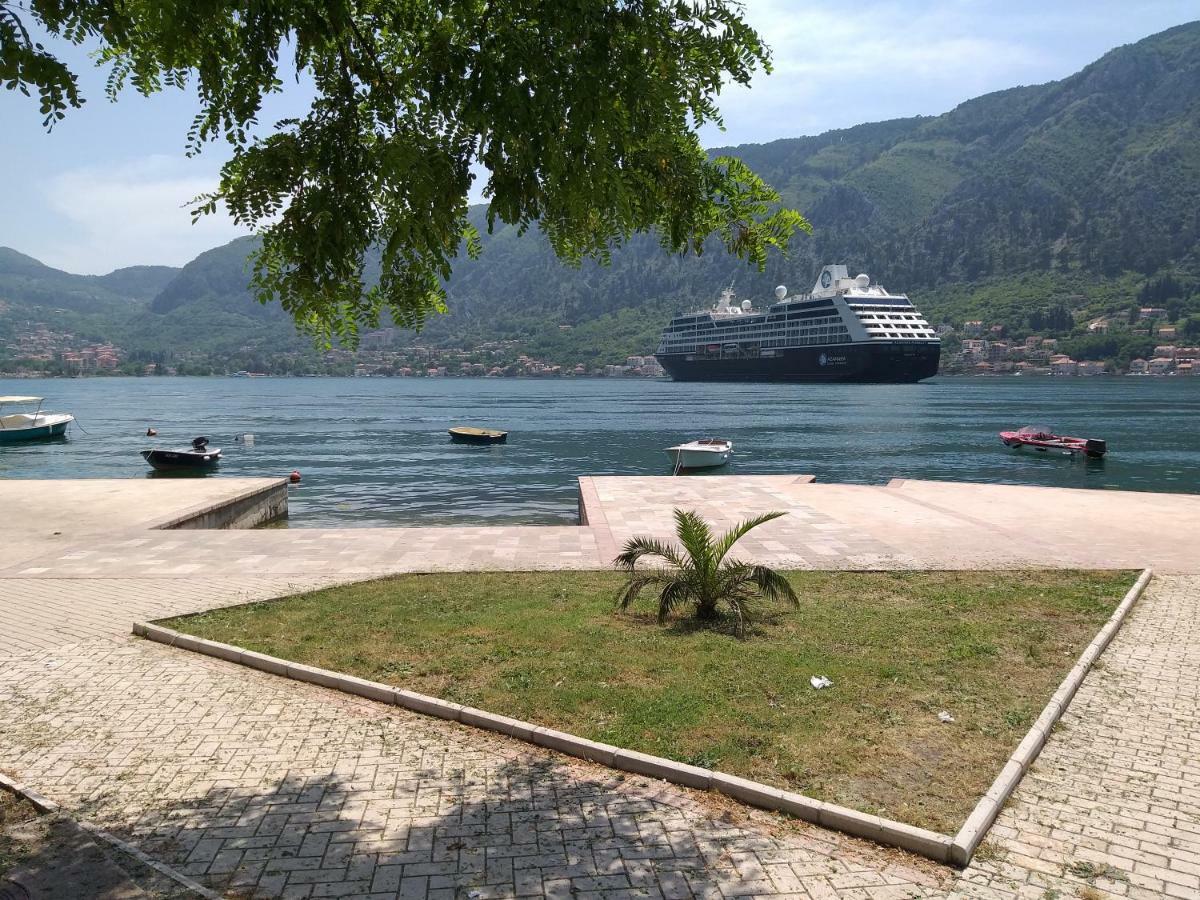 Apartment Nina Kotor Buitenkant foto